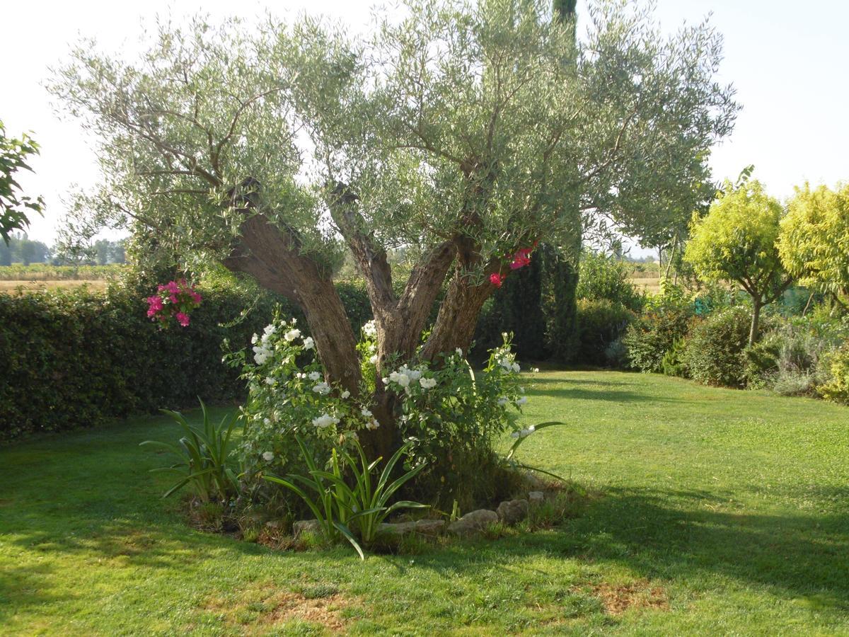 B&B La Gioiosa Assisi Exterior foto